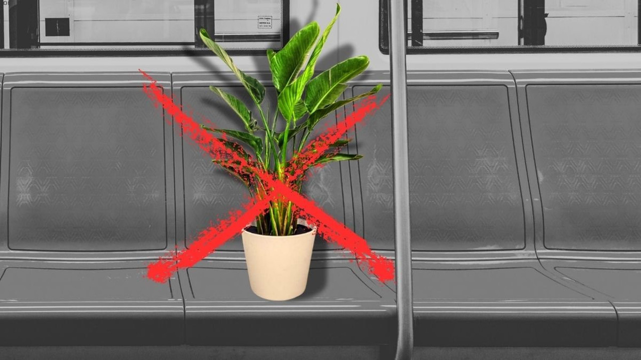 Metroda ilginç ceza: Dev bitki genç kadına pahalıya patladı