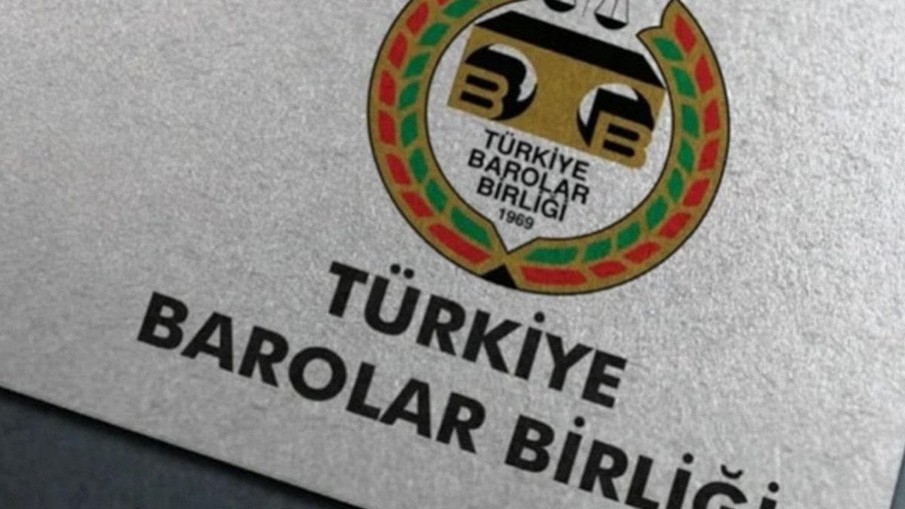 TBB'den Hayvan Koruma Yasası tepkisi: 'Hayvanlara dönük ayrımcılık adeta teşvik edildi'