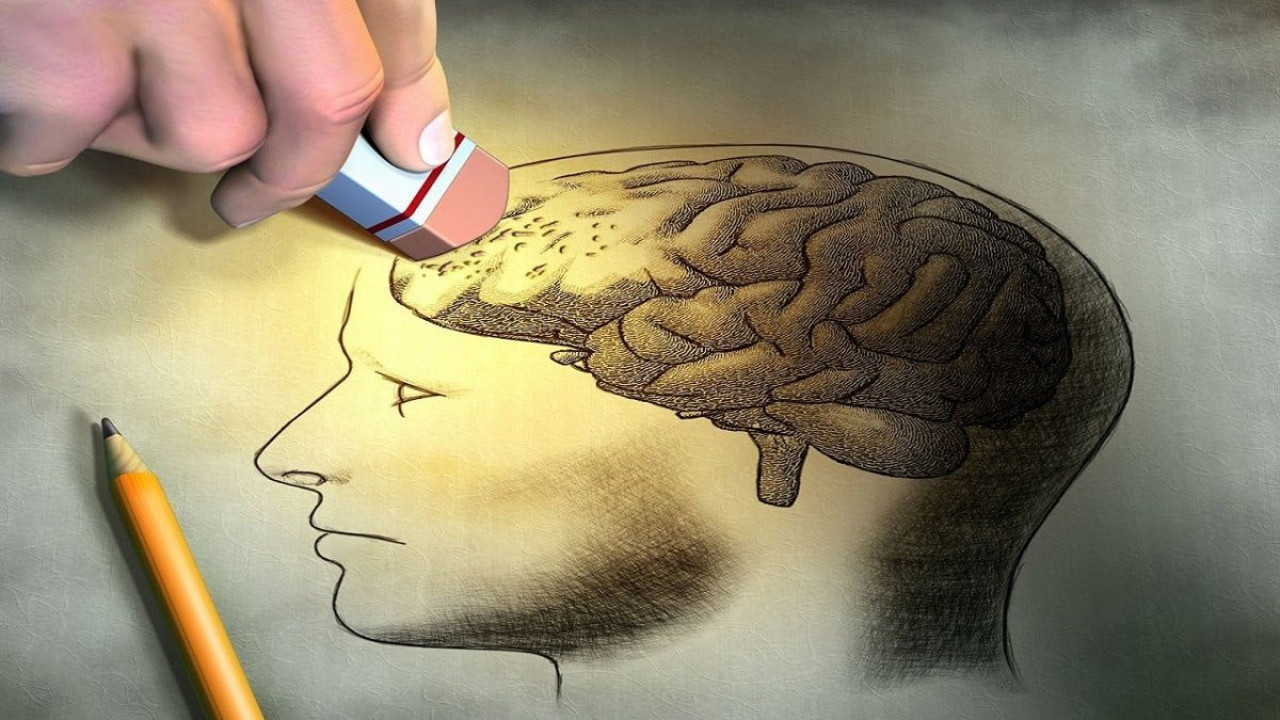 Beyninizi turbo hıza çıkaran mucizevi besinler açıklandı! Zihni çelik gibi yapıyorlar