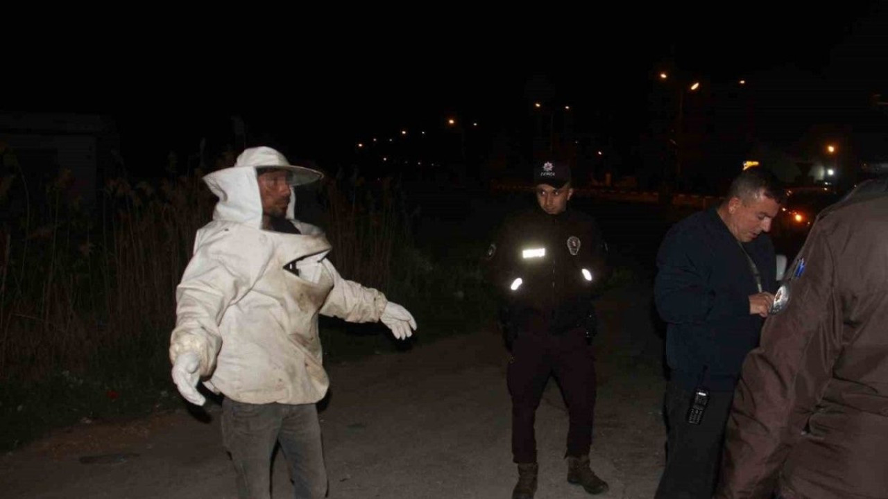 Arı kovanı yüklü kamyonet devrildi, olanlar oldu