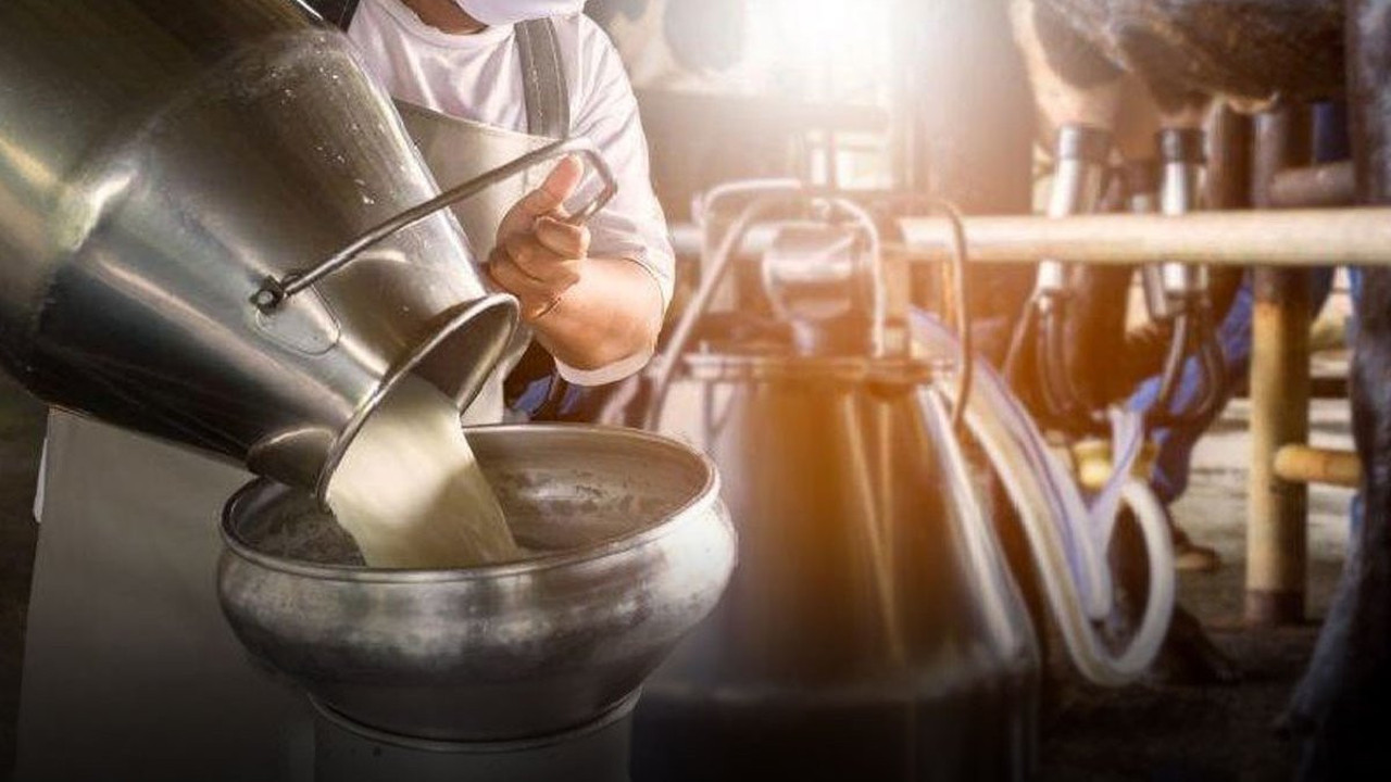 Rekabet Kurumu’ndan süt sektörüne dev soruşturma! Listede ünlü markalar da var