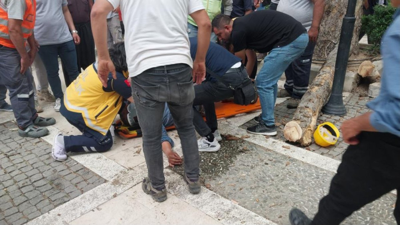 Kestiği dalı iterken düşen işçi ağır yaralı