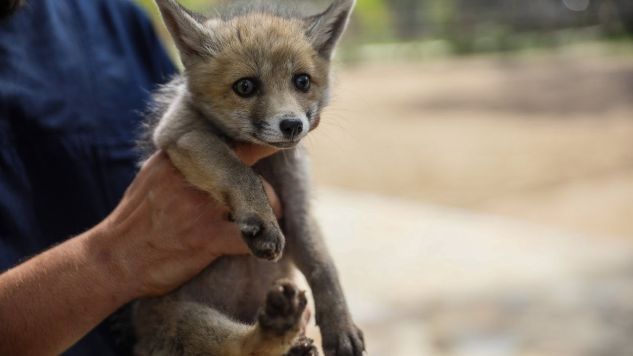 Yürekli ısıtan 'Anneler Günü' etkinliği!