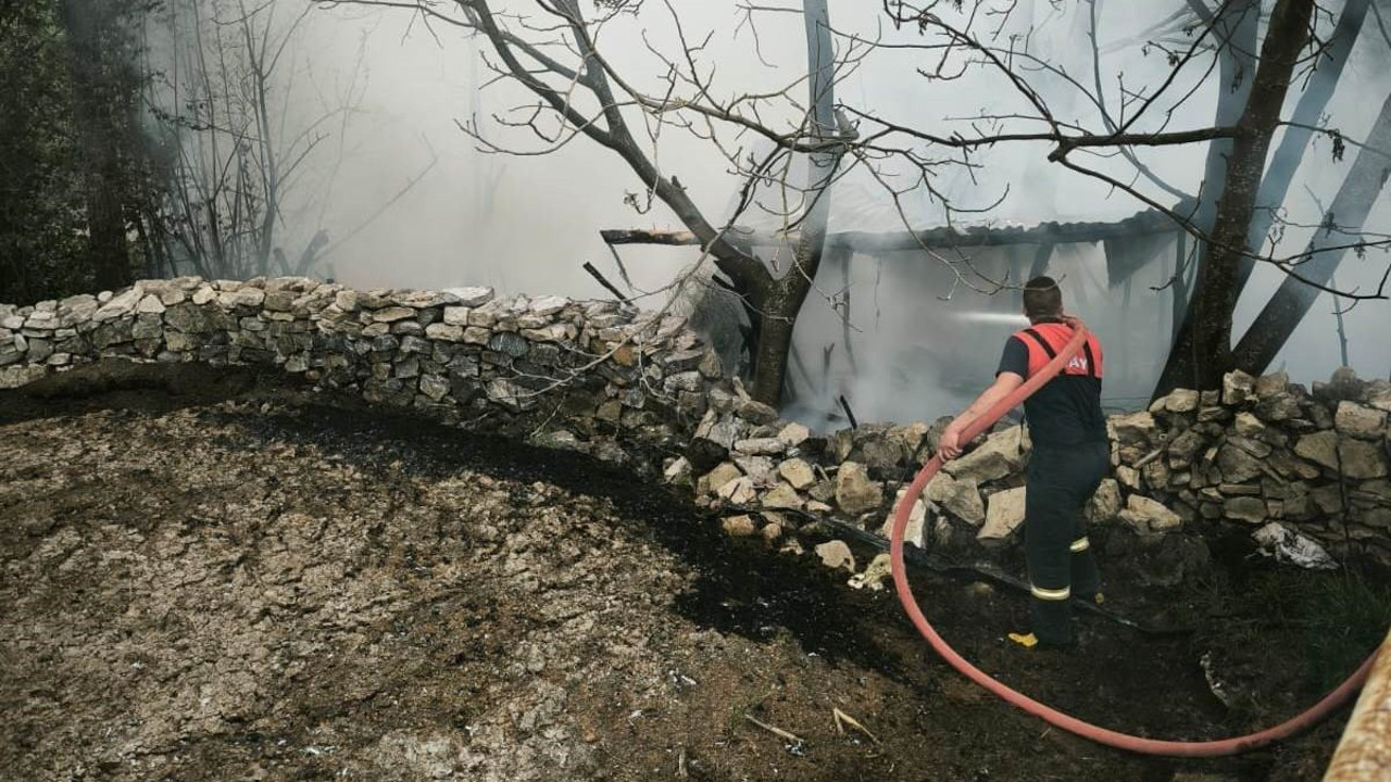 Kütahya'da yangın! Onlarca hayvan telef oldu