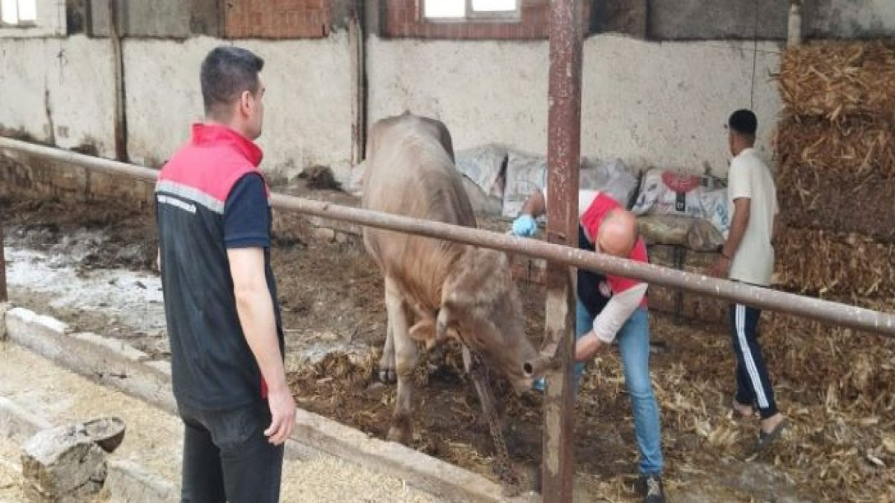 Çorum'da büyük tehlike. Anında kapatıldı