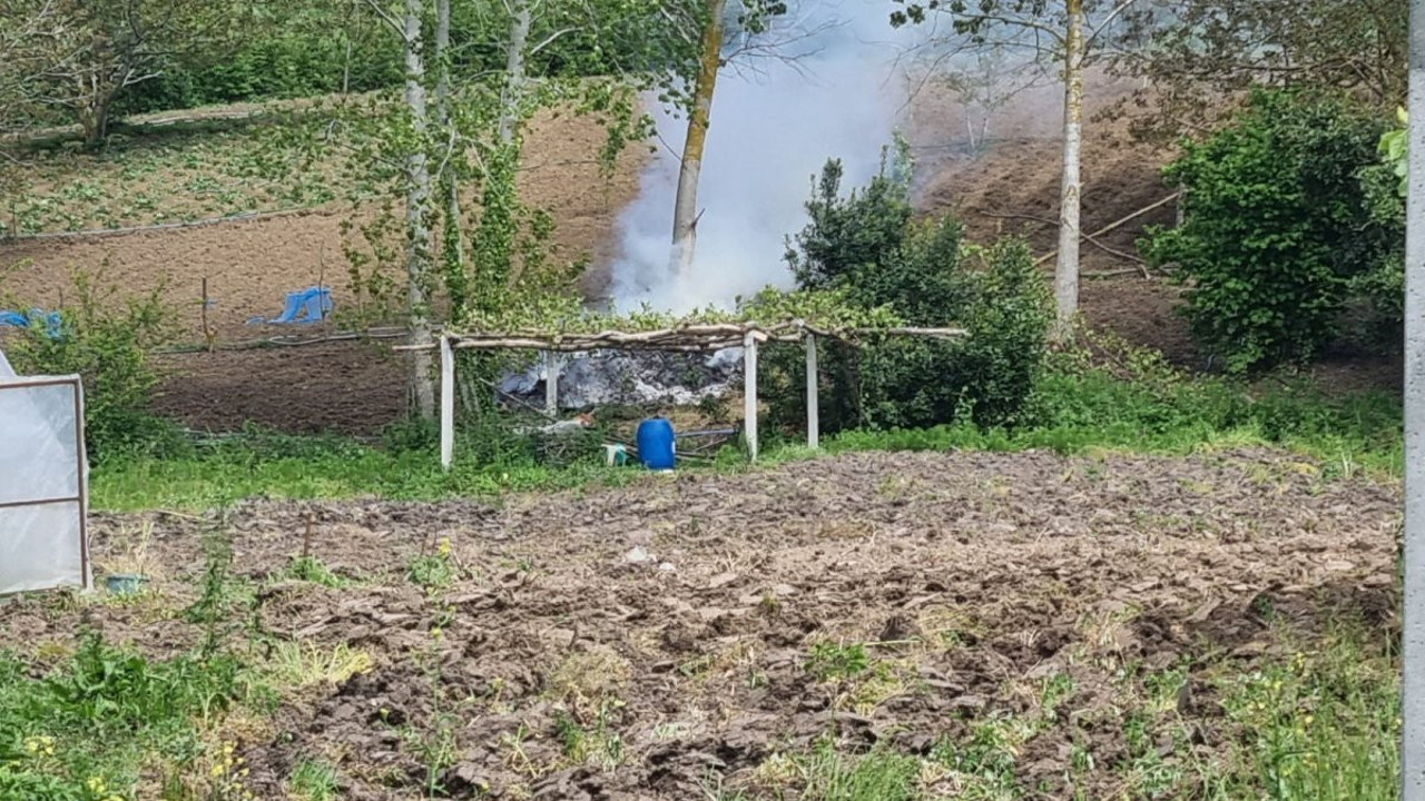 Sinop'ta tarlada yangın paniği!