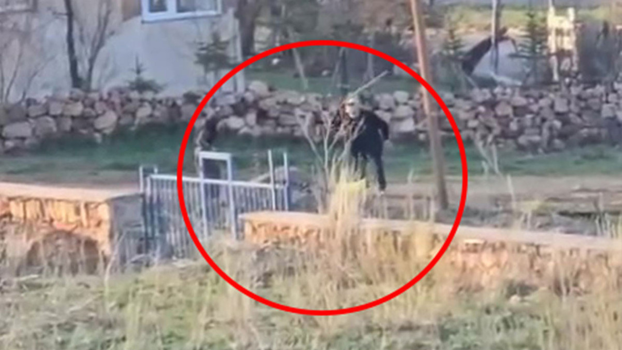 Sivas'ta dakikalarca işkence gören eşek öldü: Hayvanseverler 'cezasızlık politikasına' dikkat çekti