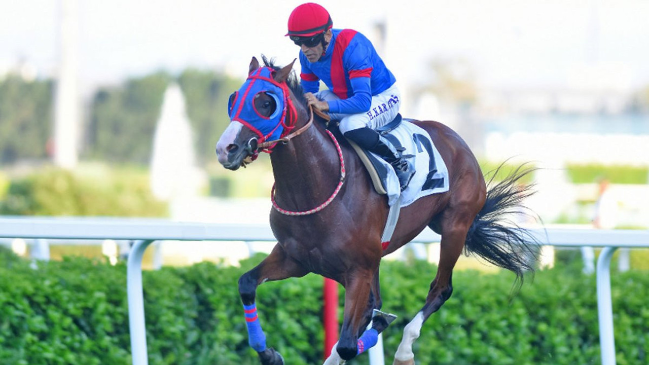 Dünyaca ünlü jokey attan düştü! Halis Karataş için TJK'dan açıklama