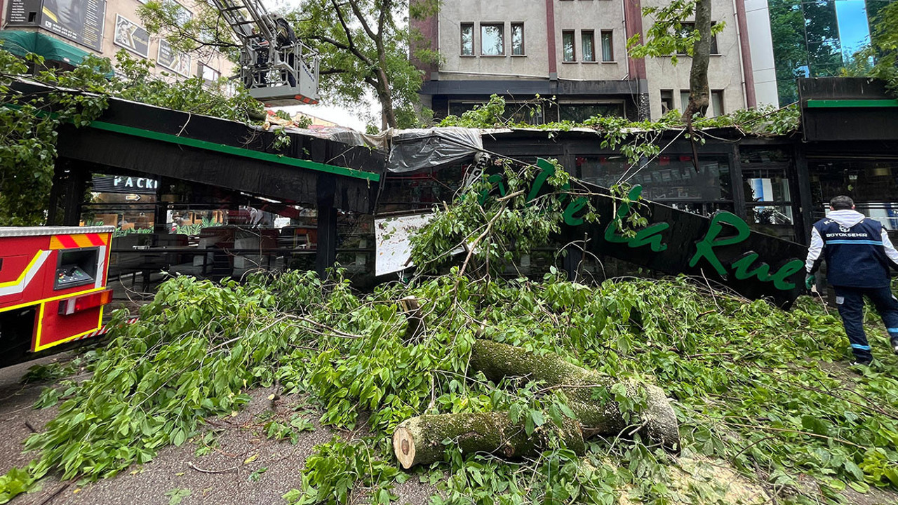 Rüzgar sonucu dev çınar ağacı kafeye düştü