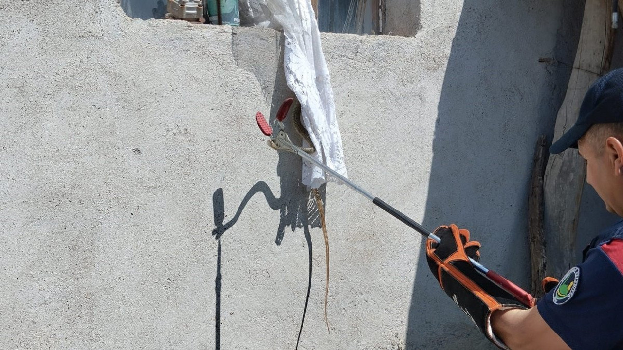 Yılan eve sızdı, ortalık karıştı! Ekipler seferber oldu!