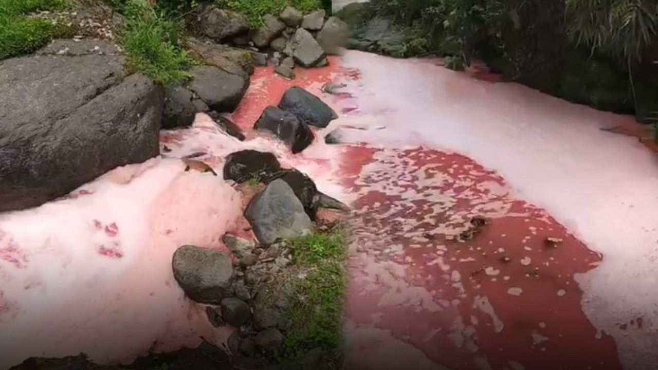 Rengi kırmızıya dönen derede inceleme! Bölge halkı endişelendi