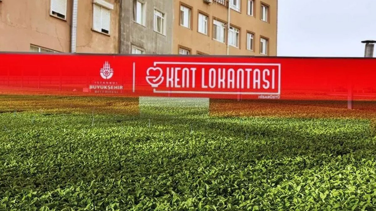 Kent lokantalarının kalbine tuz attılar! Serada büyük kayıp...