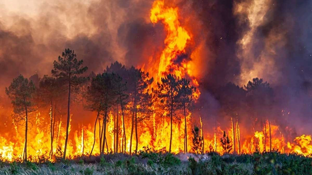 Orman yangınlarına karşı önemli karar: O tarihlerde girişler yasak