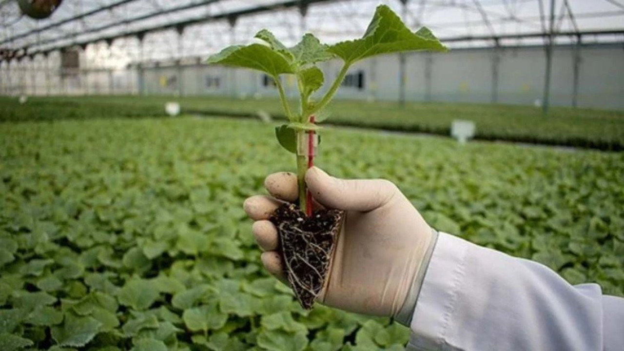 Belediyelerden çiftçilerle destek!