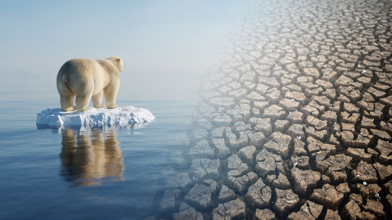Küresel ısınmaya karşı yeni umut geleceğin şehirlerinde!