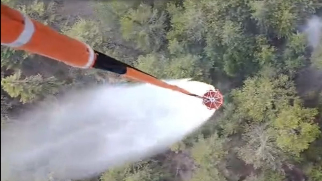 Aydın’daki orman yangını söndürüldü