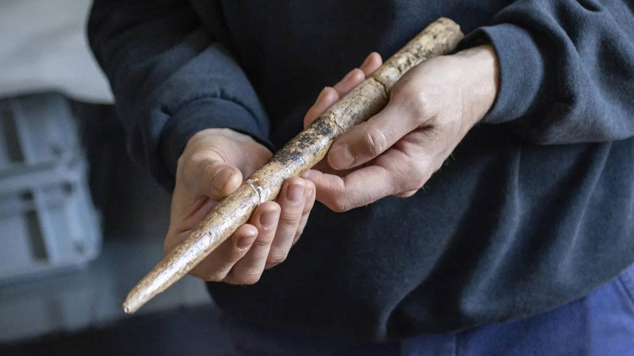 İspanya'da balina kemiklerinden yapılmış 20 bin yıllık aletler bulundu