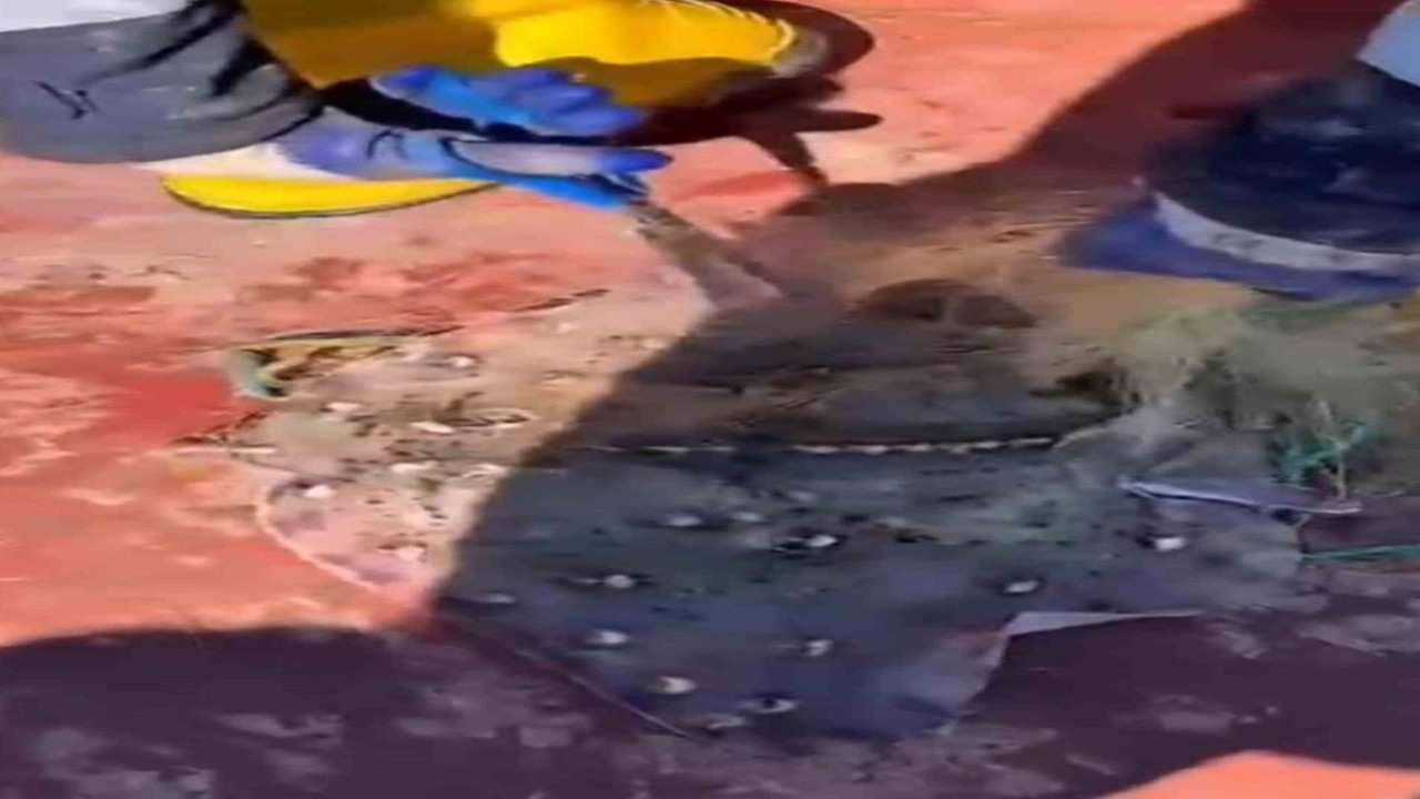 Kırklareli’nde 44 bin metre kaçak ağ