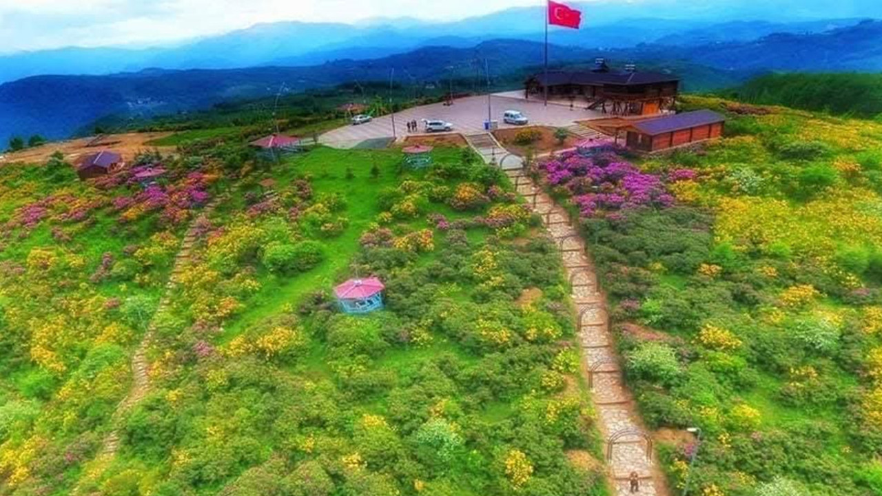 Ordu’nun gizli cenneti! Yeşil ve mavinin aşkı