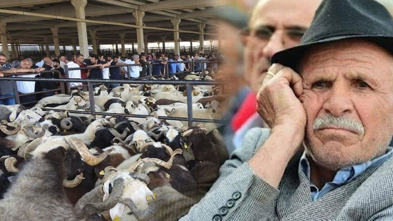 Emekli bayramda bile ete hasret kaldı! İçler acısı tablo ortaya çıktı