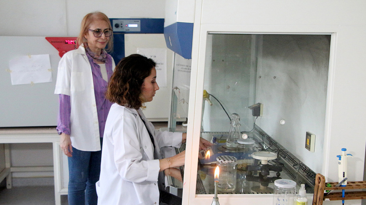 Milli tatlımızda ölümcül bakteri tespit edildi! Bayram öncesi koca şehir alarma geçti: 20 numunenin 5’inde çıktı