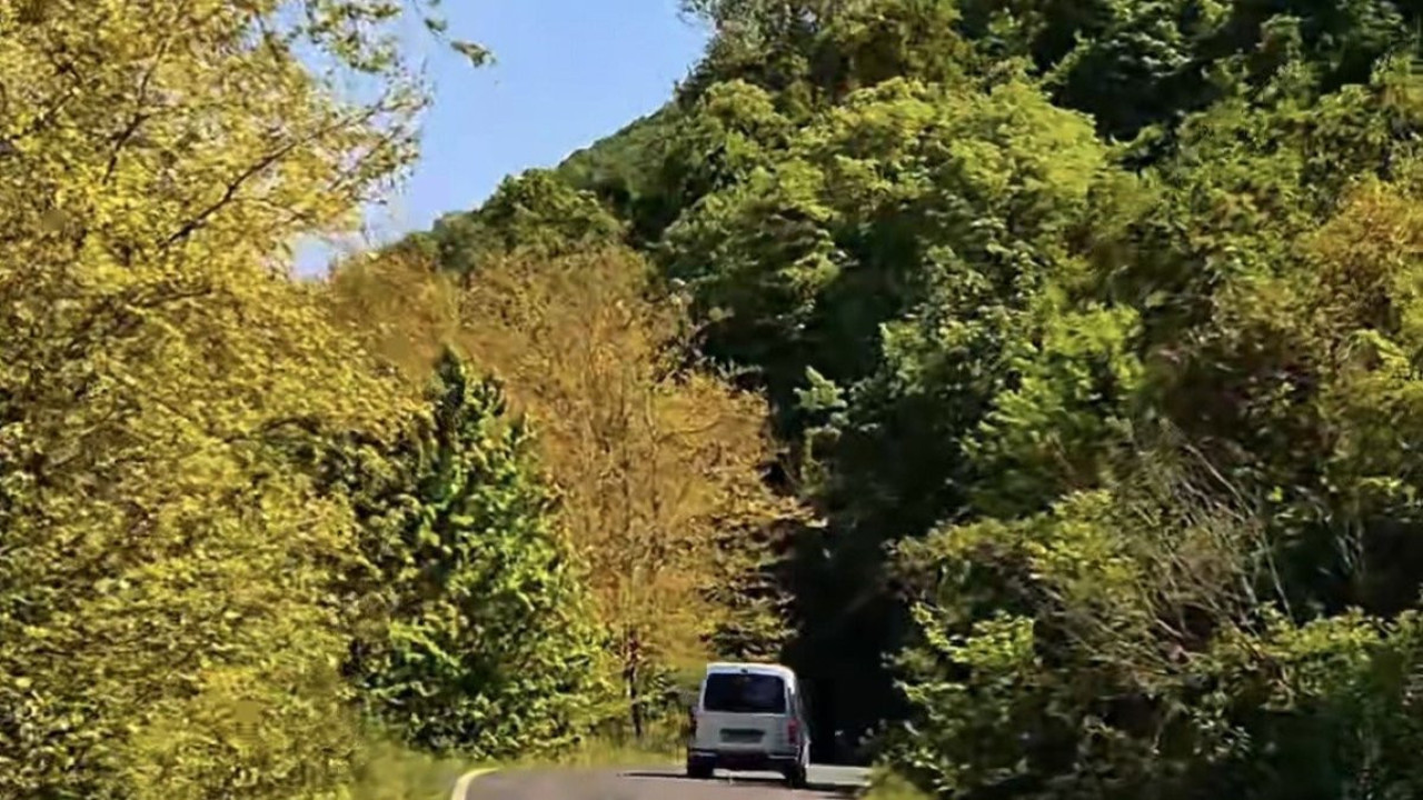 Tekirdağ’da ormanlara giriş yasak!