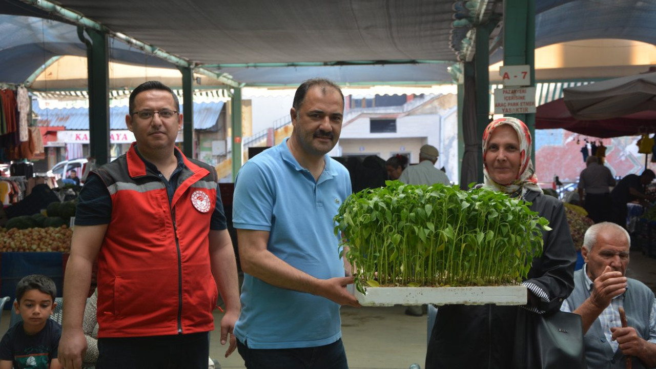 Çiftçilere 40 bin ücretsiz sebze fidesi