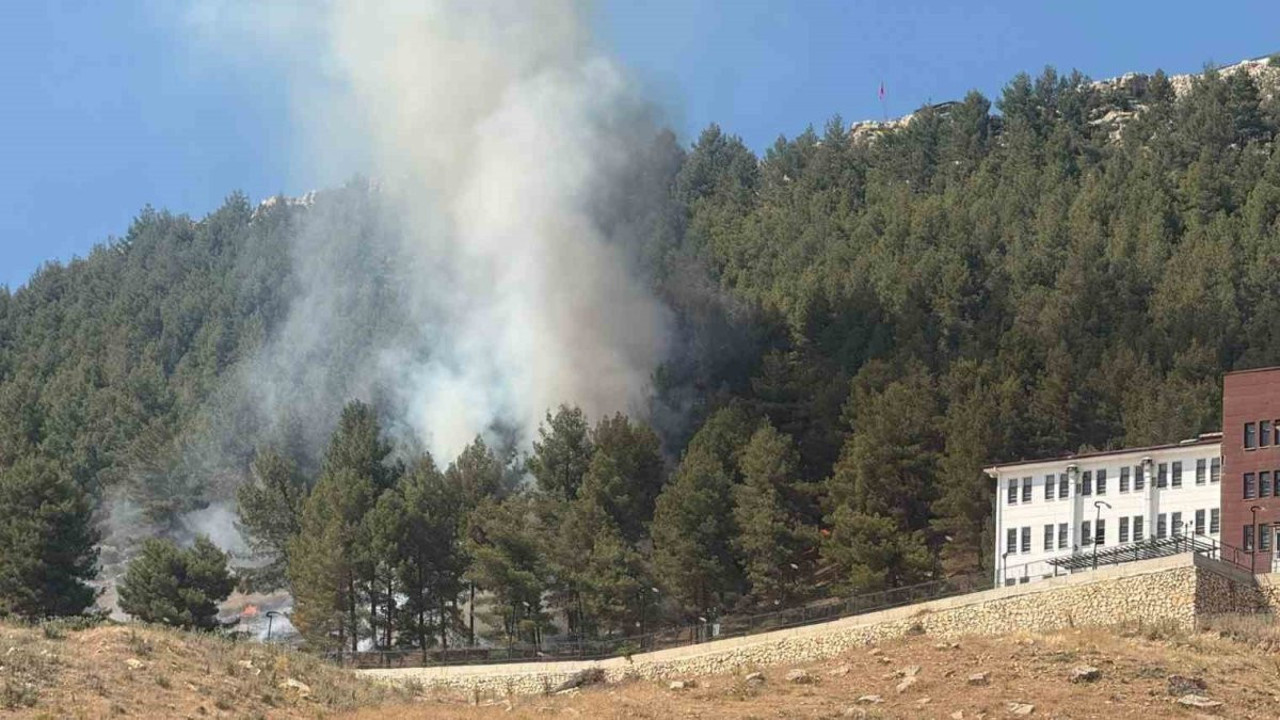 Adıyaman'da ormanlık alanda çıkan yangın korkuttu
