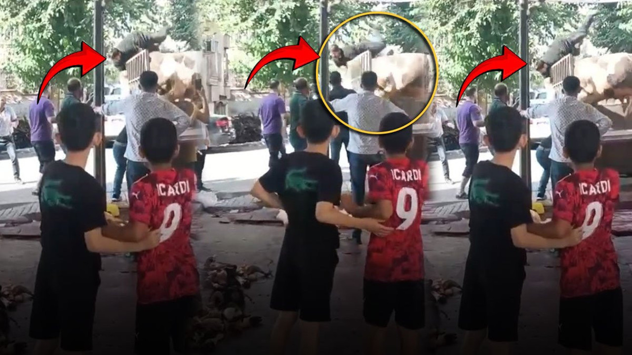 Kasap neye uğradığını şaşırdı: Kızgın boğa kabusu yaşattı!