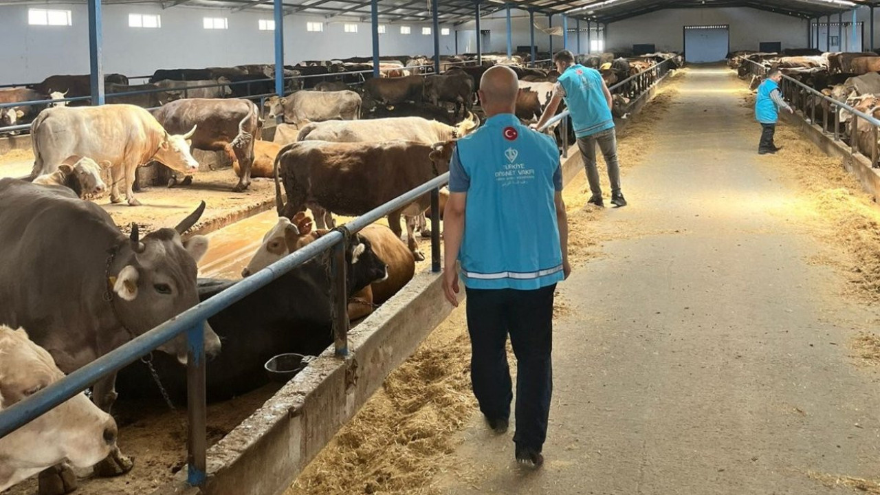 Türkiye Diyanet Vakfı, ihtiyaç sahiplerini unutmadı