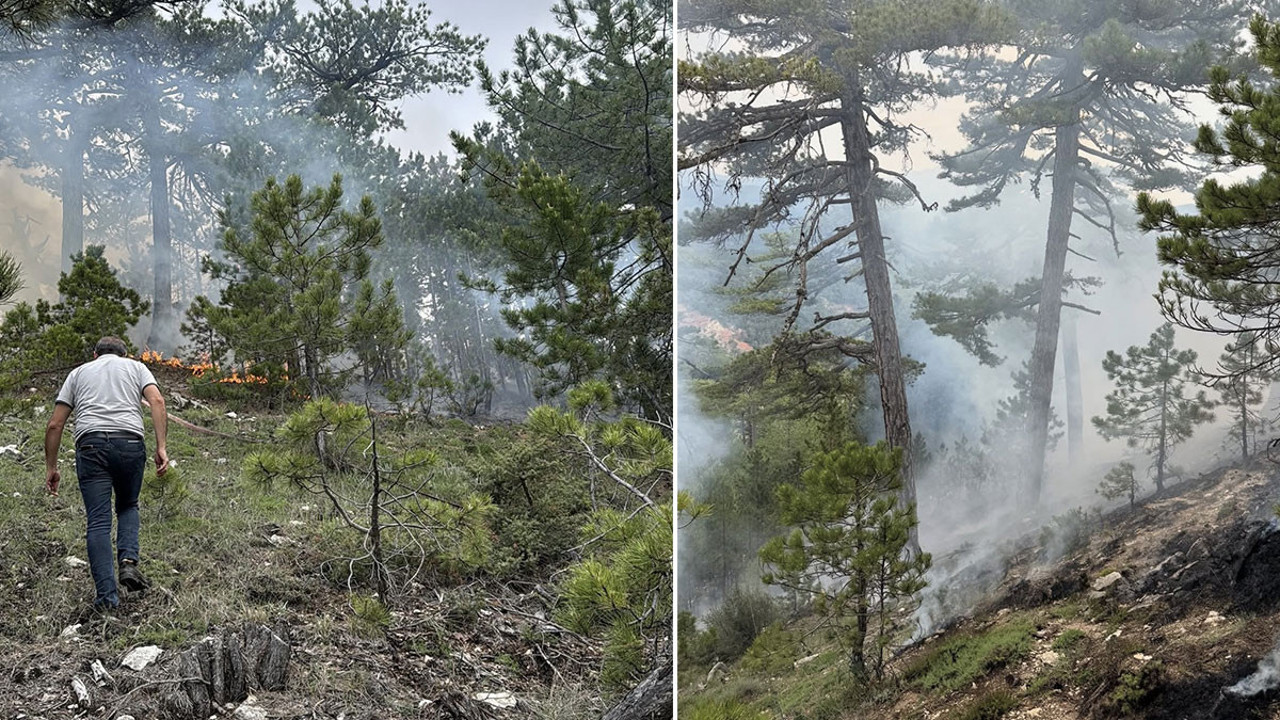 Denizli'de çıkan orman yangını söndürüldü