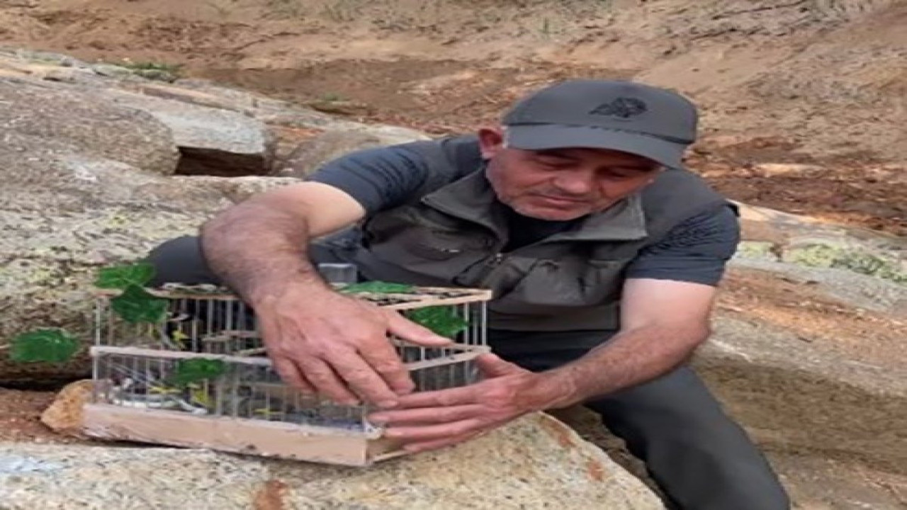 Saka kuşu avcılarına operasyon!