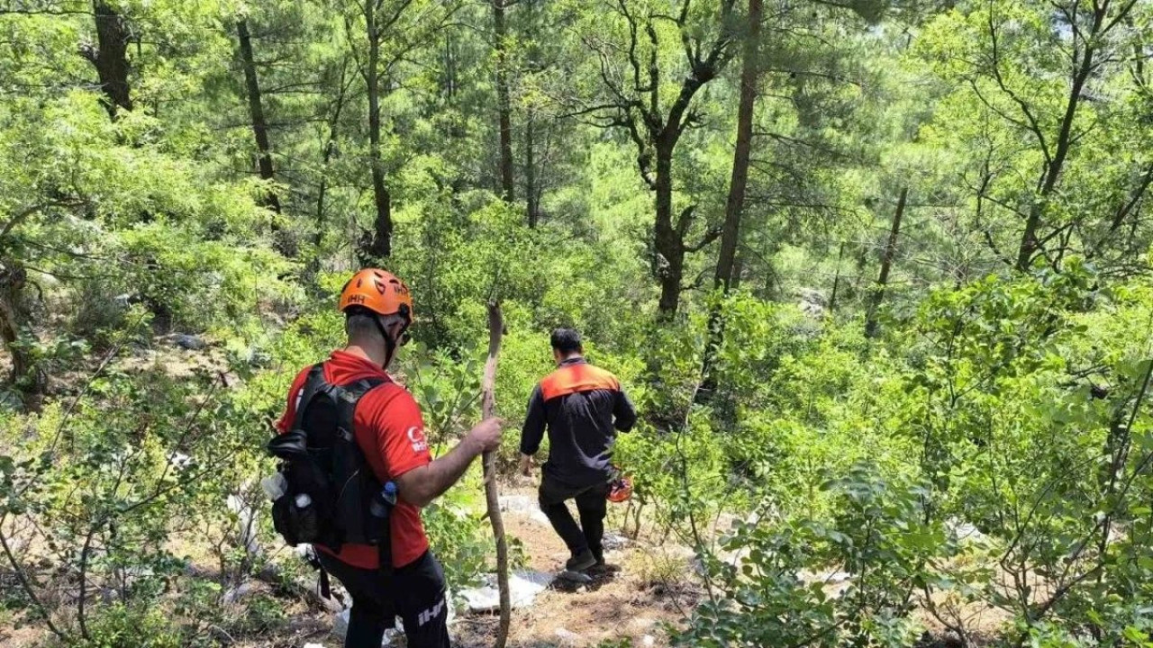 Yaylada kaybolan yaşlı adam 7 gündür her yerde aranıyor