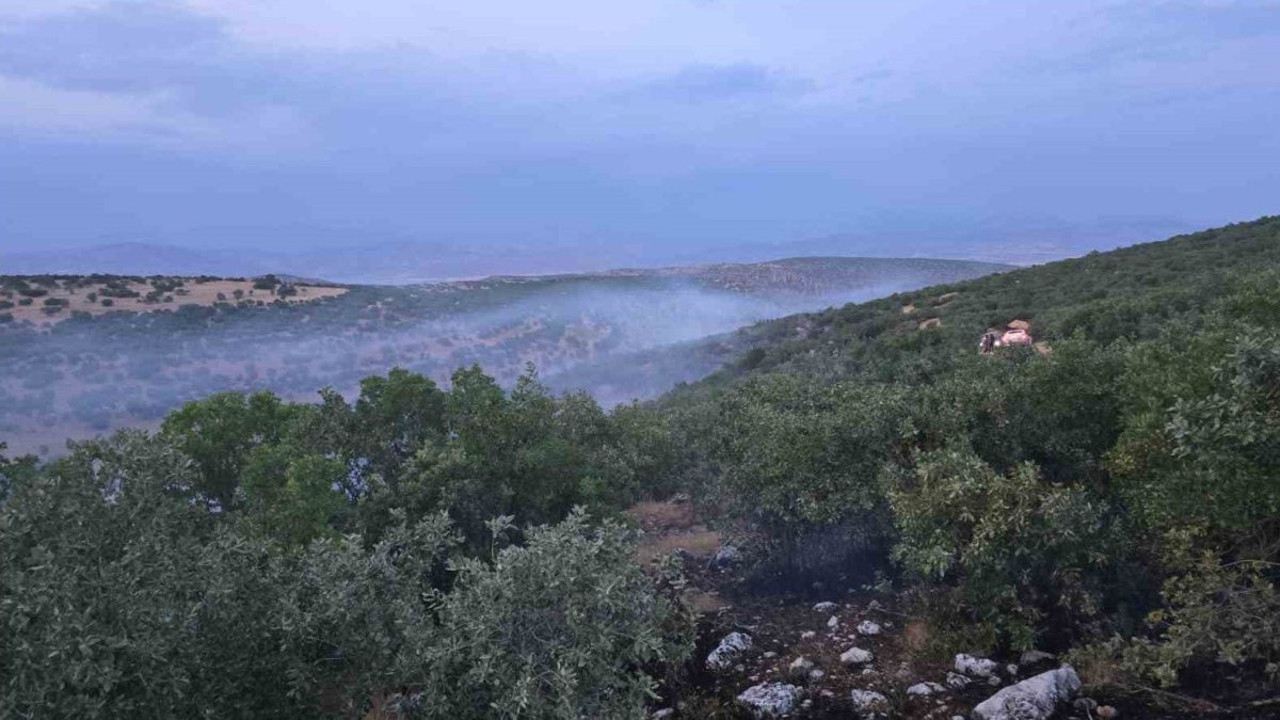 Diyarbakır’da örtü yangını