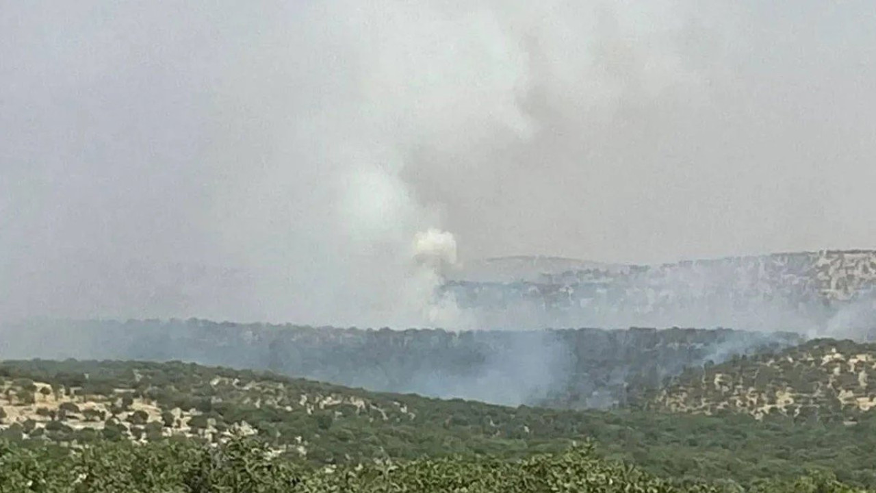 Mardin'de orman yangını! Ekipler müdahale ediyor
