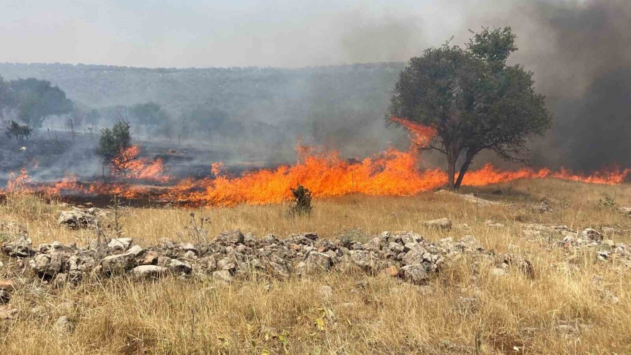 Mardin’de orman yangını devam ediyor