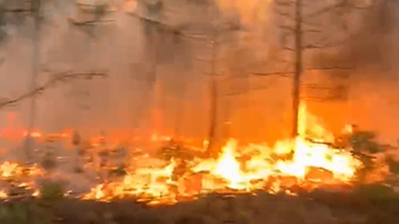 Denizli’de yıldırım faciası