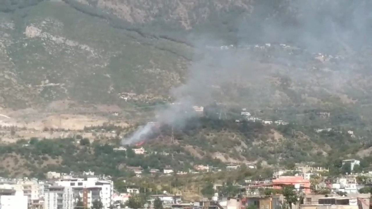 Hatay'da orman yangını