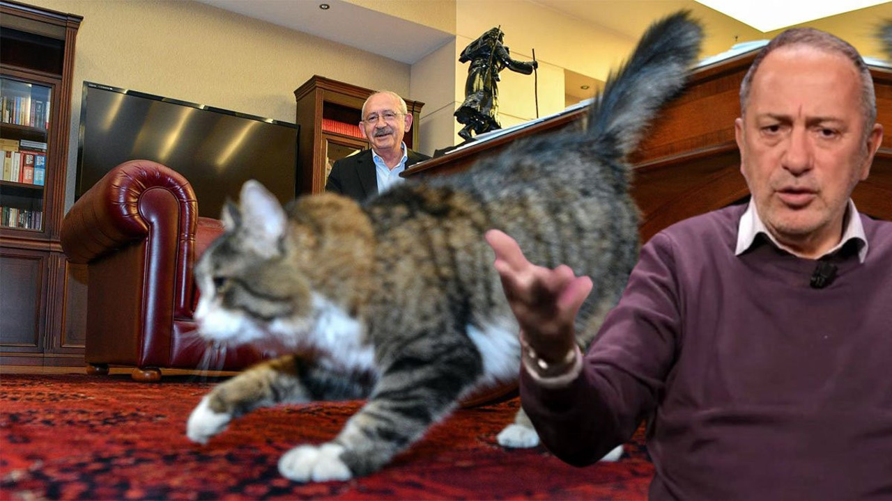 Fatih Altaylı soruyor: Kemal Bey’in dilini kedi mi yedi?