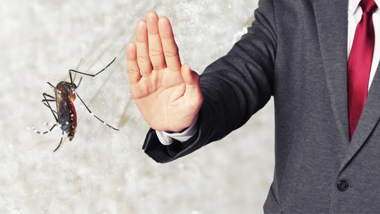 Evinizi sivrisineklerden kurtarma yöntemleri! Yaz kabusunu önleme çözümleri