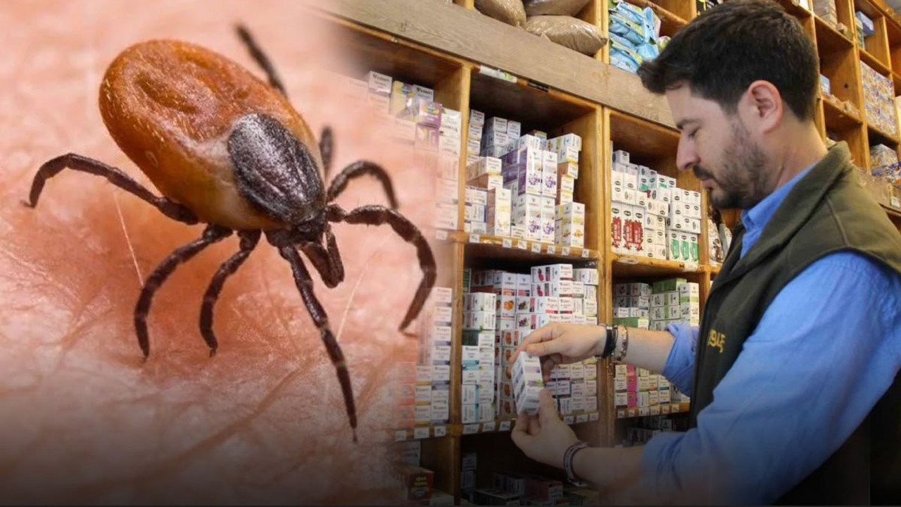 Kene kabusuna karşı doğal kalkan: Vatandaşların bulduğu yöntem şaşırttı