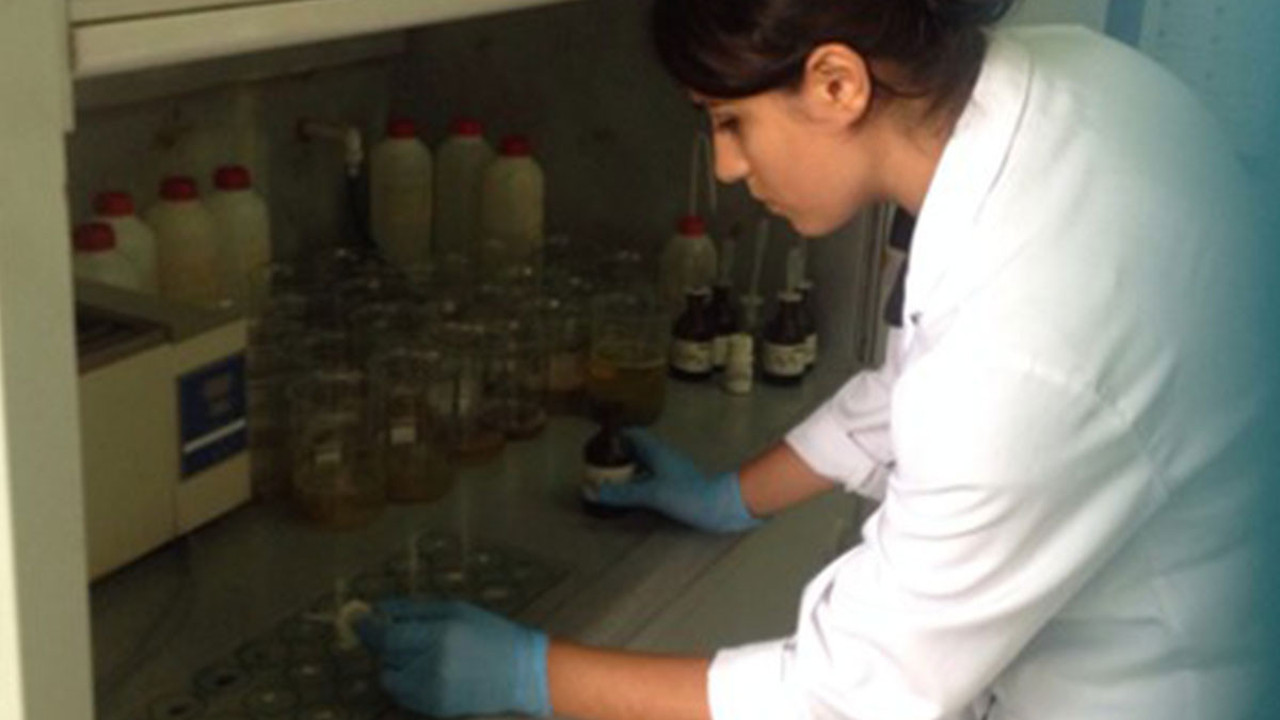 Geçmiş geleceğe taşınıyor: Türk uzmandan ABD’de kültürel miras projesi