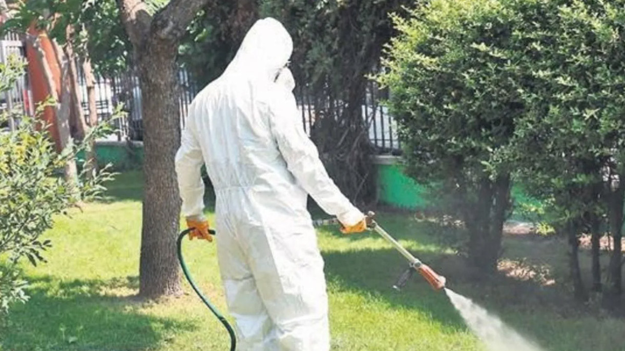 Yaz aylarıyla birlikte artış yaşandı! Uzmanlar uyarıyor: Yaşlılar ve çocuklar tehlikede