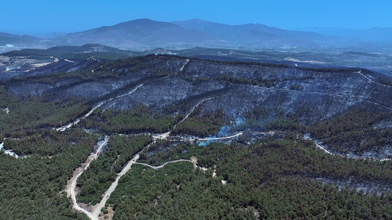 İzmir'deki yanan ormanlık alan havadan görüntülendi