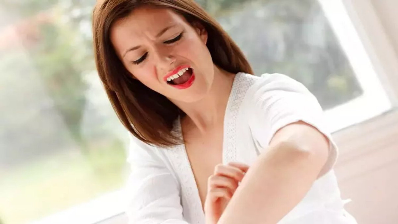 Sivrisineklerden kurtulmanın asırlık sırrı ortaya çıktı! Büyükannelerden miras kalan formülle yaz kabusu tarih olacak