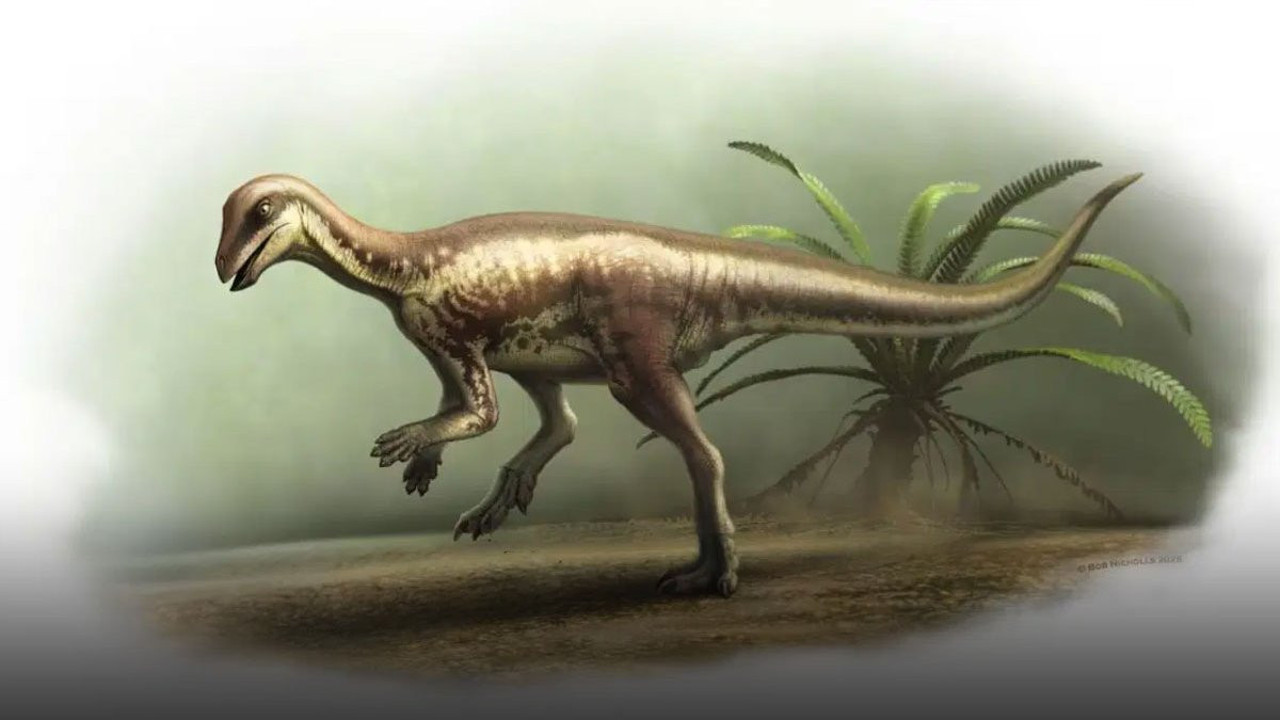 Bilim insanlarından yeni tür keşfi: Köpek benzeri dinozor bulundu