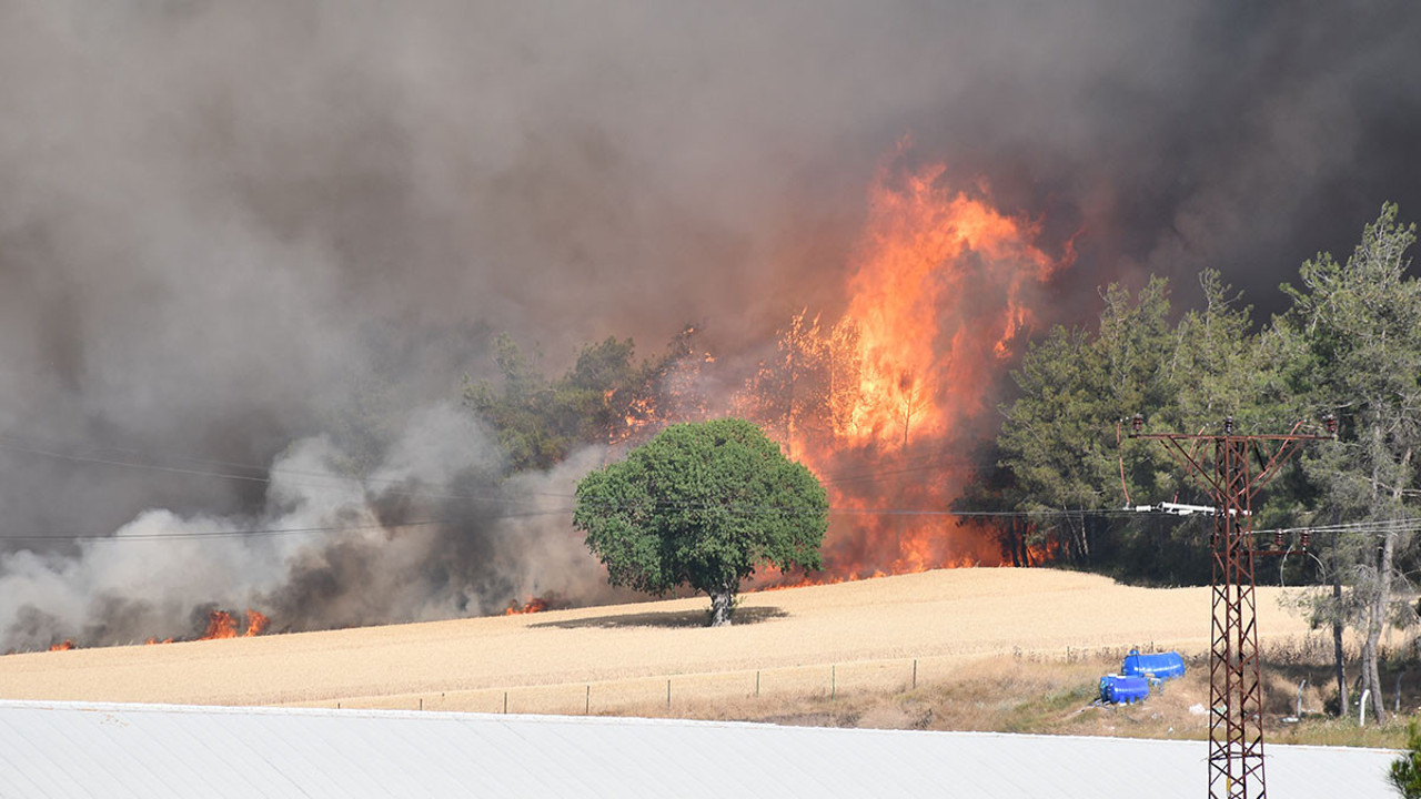 Bakan Tunç yangın nedeni ile çok sayıda kişinin gözaltına alındığını açıkladı