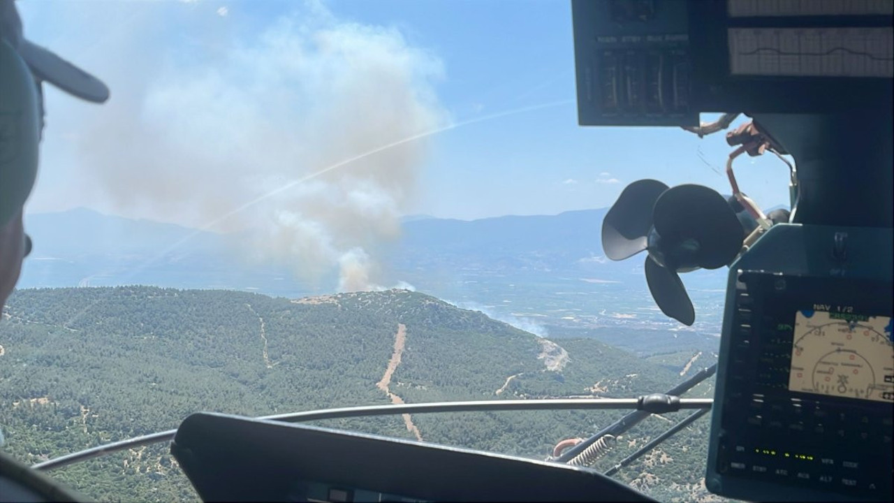 Manisa’da bir orman yangını daha!