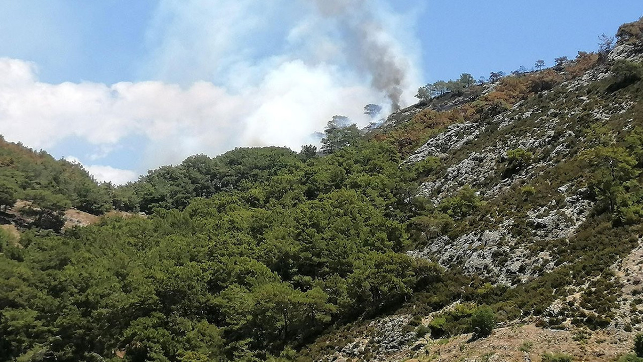 Antalya’da 3 gün önce yanan ormanda yine yangın çıktı