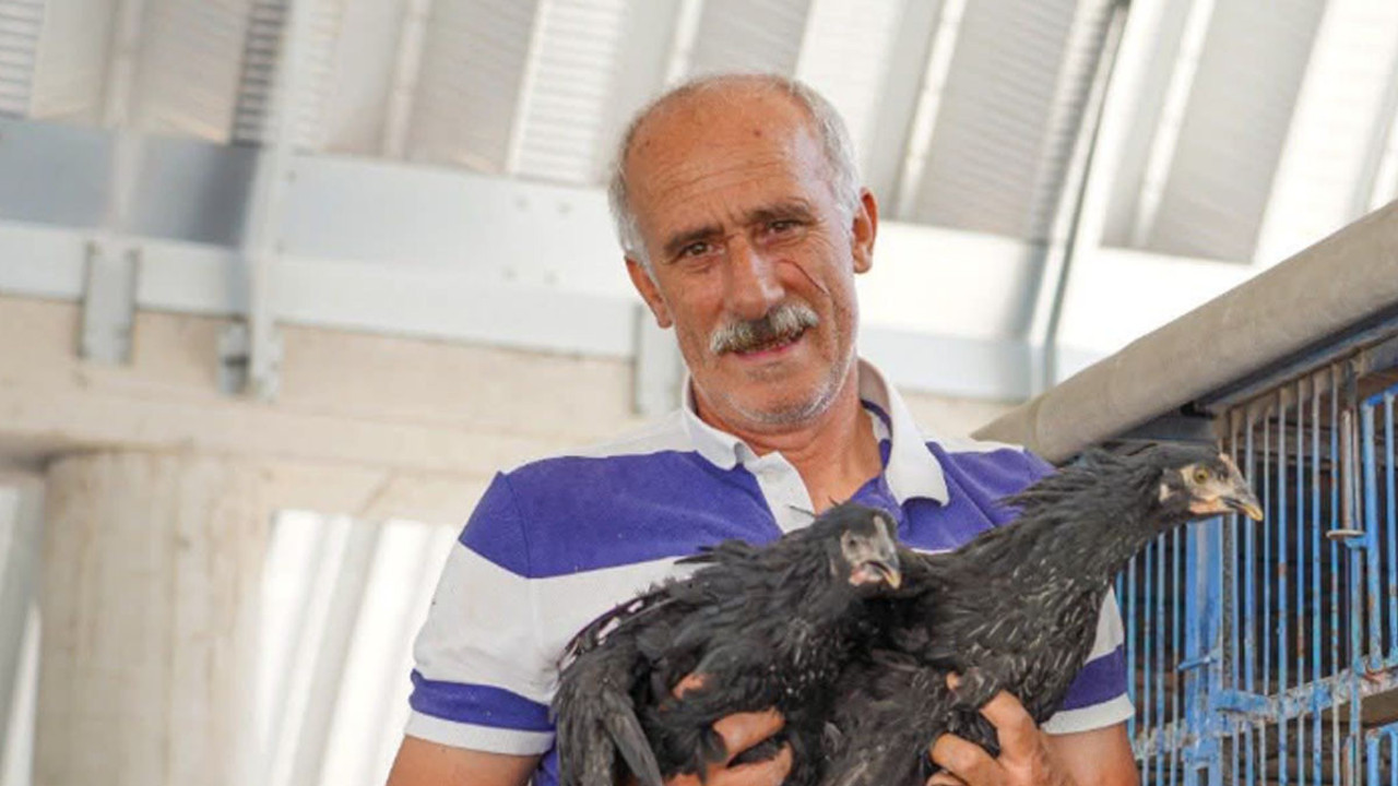 Fatsa’da tarım için dev adım! Hem zararlıyı bitiriyor hemde kazandırıyor